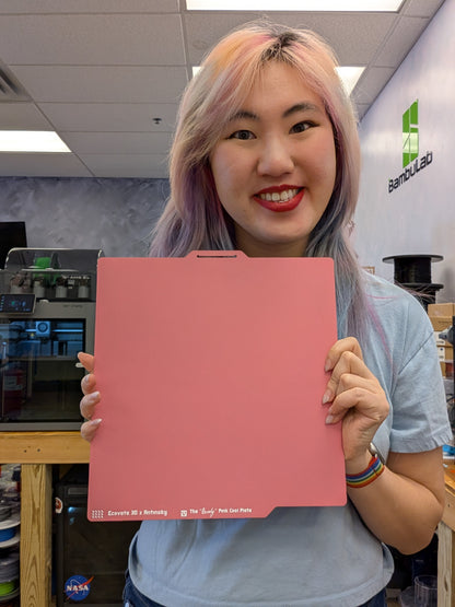 Antinsky x Ecovate 3D Beverly Pink Plate