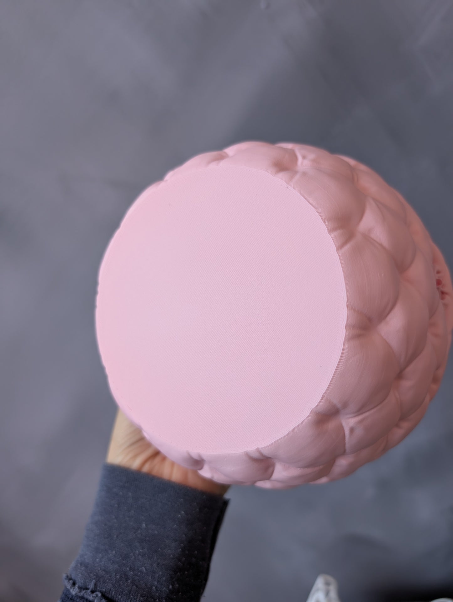 Antinsky x Ecovate 3D Beverly Pink Plate