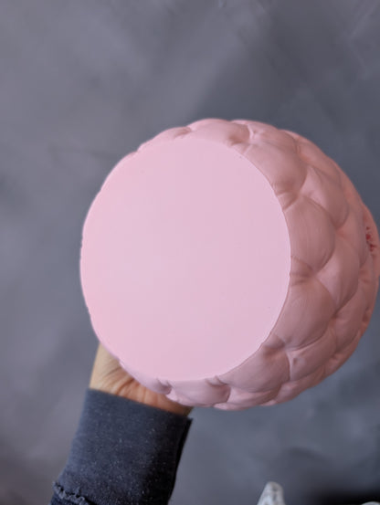 Antinsky x Ecovate 3D Beverly Pink Plate